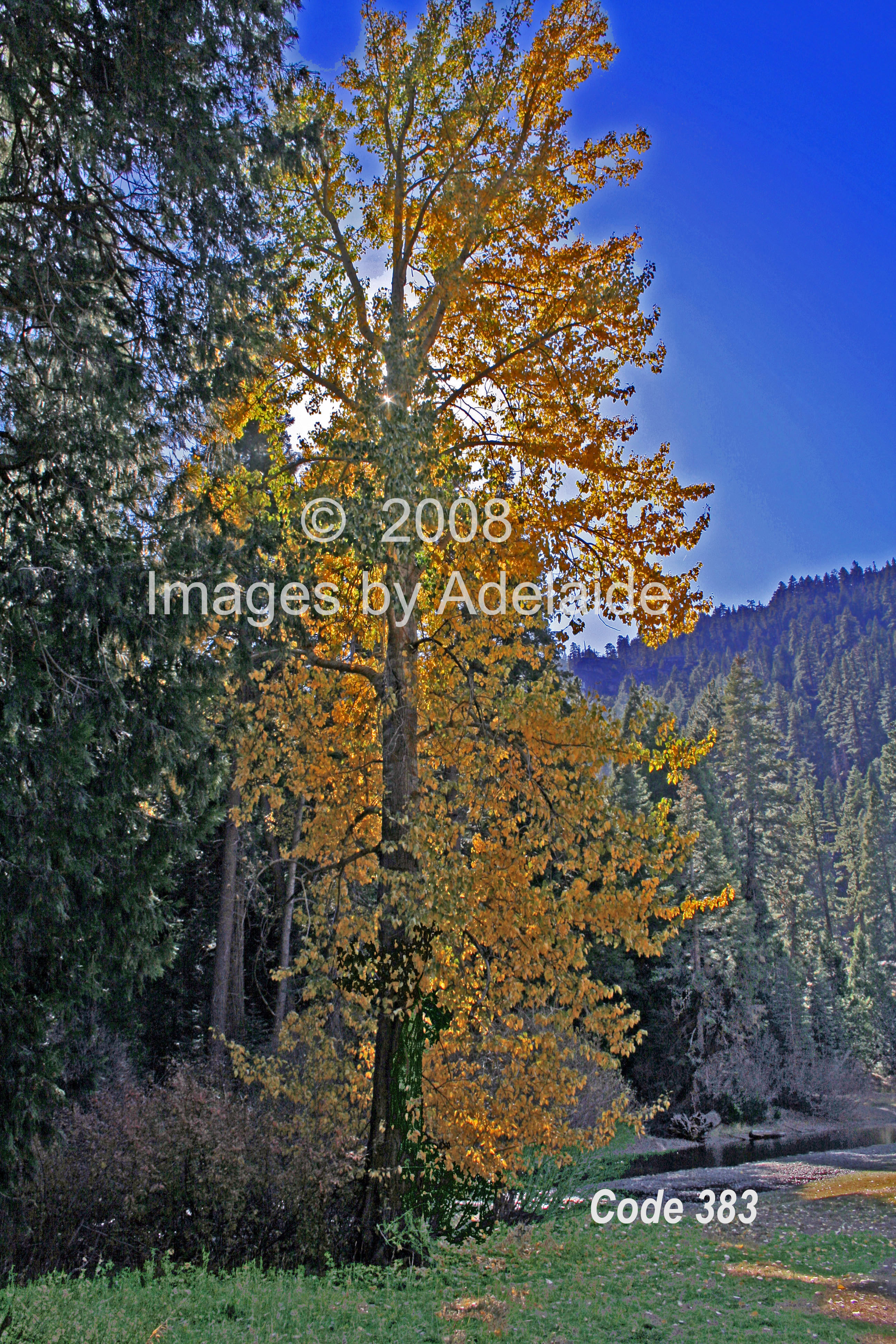 Autumn at Kennedy Meadows